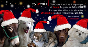 Buon Natale 2010